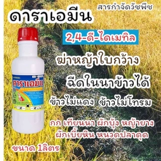 ดาราเอมีน หมาแดงน้ำ 2-4ดึ ฆ่าหญ้าใบกว้าง เช่นผักปอดนา ผักบุ้ง กก หนวดปลาดุก แห้วหมู