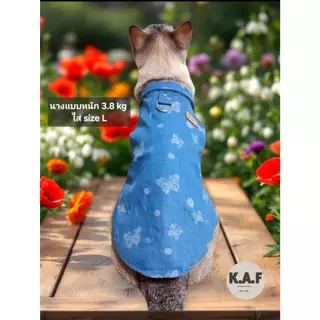(G08)เสื้อสุนัข-แมว ผ้ายีนส์ (*พร้อมส่งจากไทย!!*) สวย หล่อ มีสไตล์