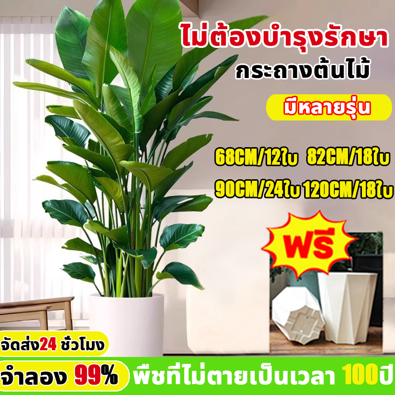 ☘️ราคาถูกที่สุด🌿ต้นไม้ปลอม ความจำลอง 99.9% ของแต่งบ้าน หม้อดอกไม้ฟรี ต้นไม้ปลอม ต้นไม้พลาสติก ต้นไม้ปลอมใหญ่