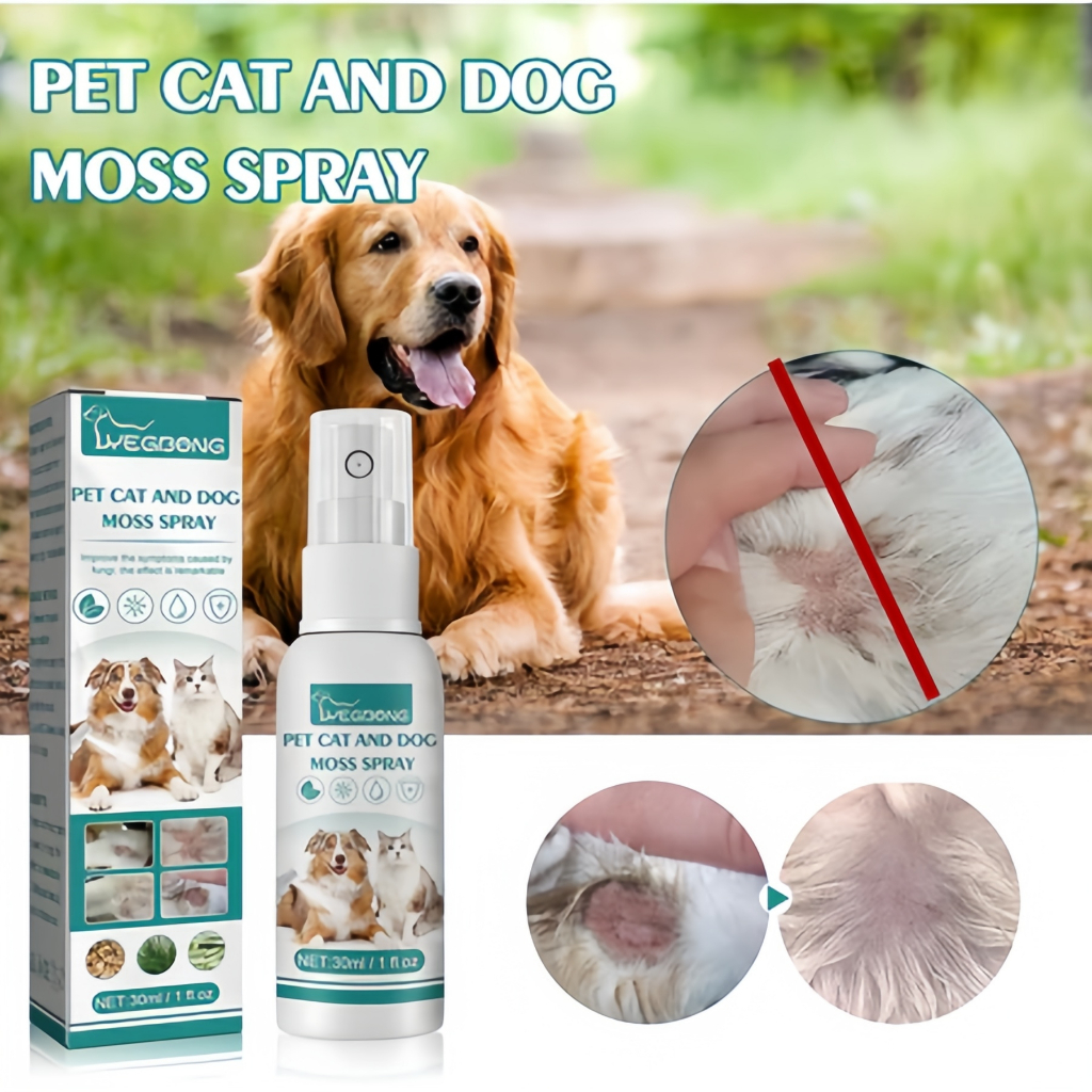 รูปภาพ 6