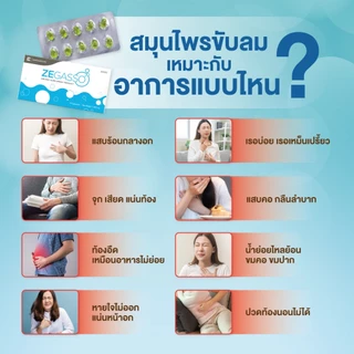 Ze-Gasso แก้กรดไหลย้อน จุกเสียด ท้องอืด ขับลม ช่วยย่อย สมุนไพรแท้ ขมิ้นชัน กระเทียม สเปียร์มิ้นต์ 2 แผง 20 แคปซูล