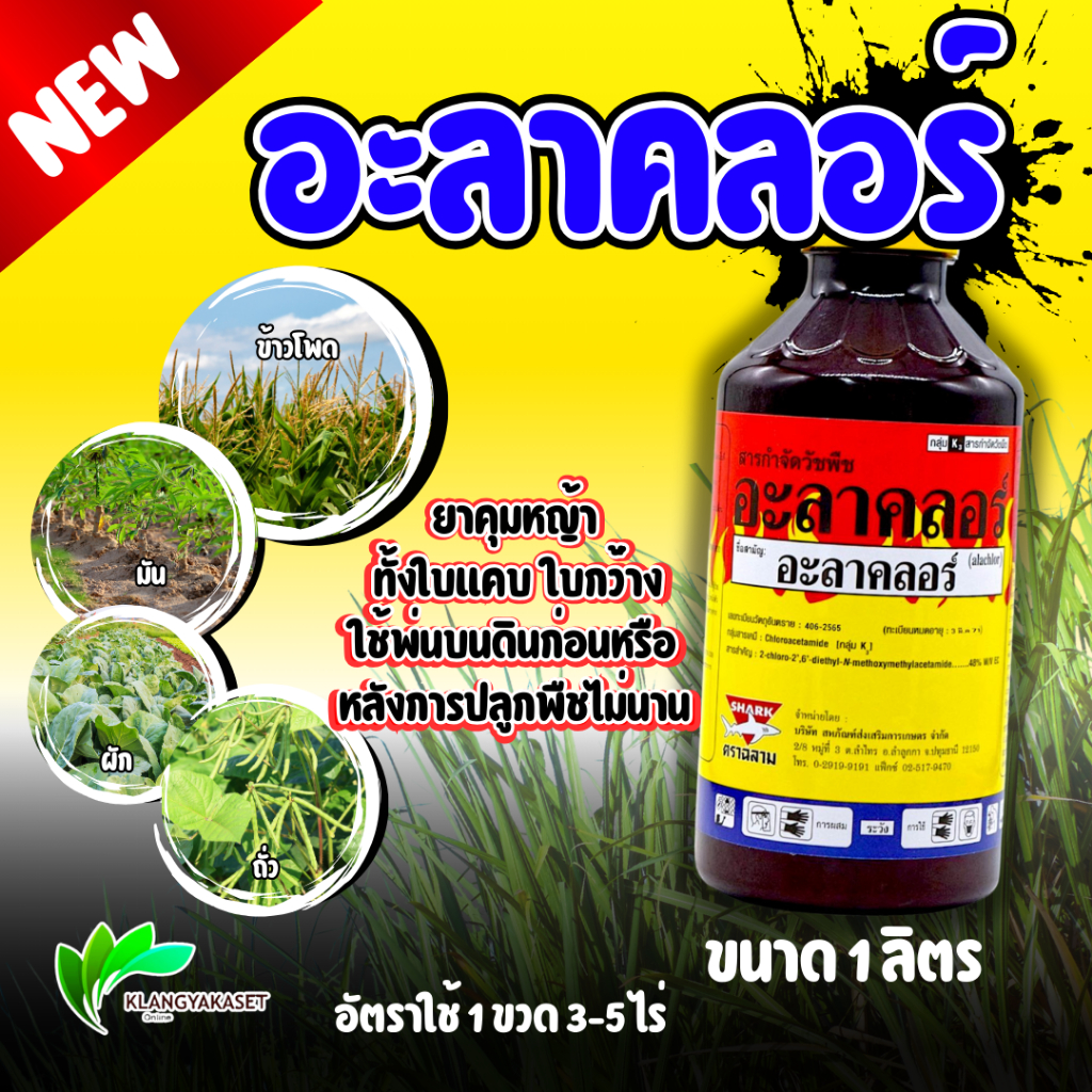 อะลาคลอร์ 1 ลิตร ยาคุมข้าวโพด หรือ ยาคุมหญ้า ทั่วๆไป ใช้ แปลงผัก ยาคุม คุมวัชพืช