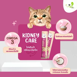 BiteCare ขนมแมวเลีย 1กล่อง คละสูตร