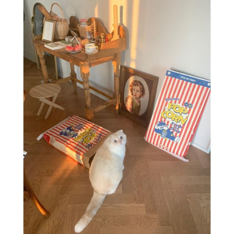 ถุงแมวมุด ถุงป๊อปคอร์น ของเล่นแมว Popcorn Peek-a-Boo Bag