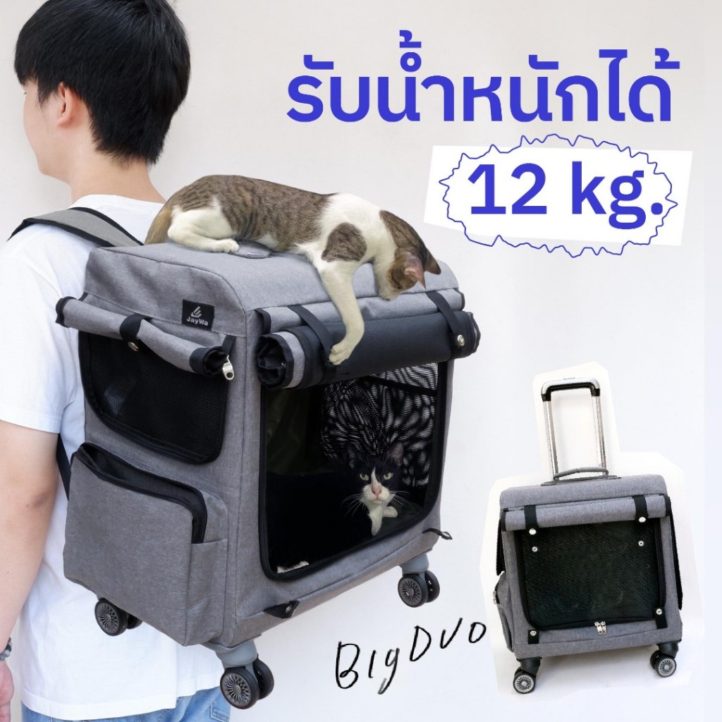 Jaywa กระเป๋าแมวล้อลากสะพายเป้: ตัวช่วยพาสัตว์เลี้ยงเที่ยวคอนโด เดินห้าง
