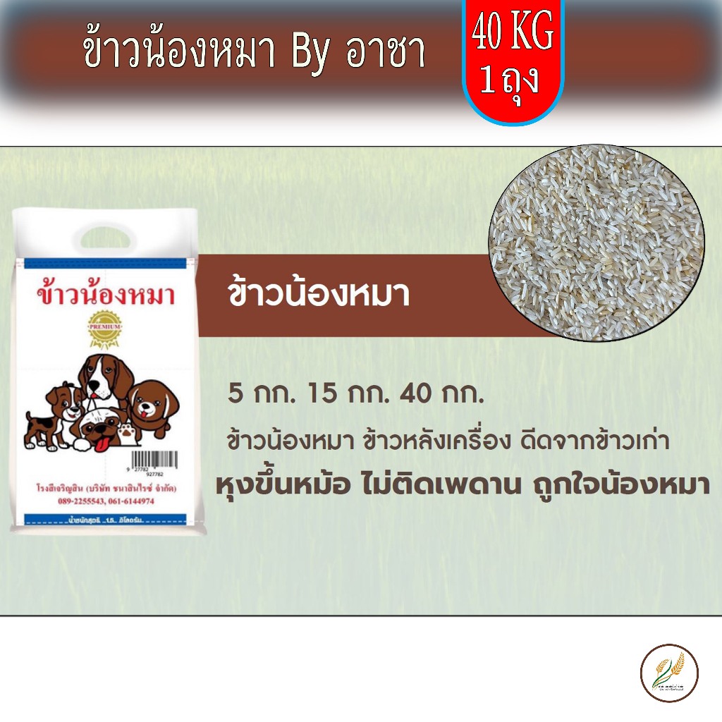 ข้าวน้องหมา น้ำหนัก 40 กก. หุงขึ้นหม้อ ไม่ติดเพดาน ถูกใจน้องหมา (ใหม่)