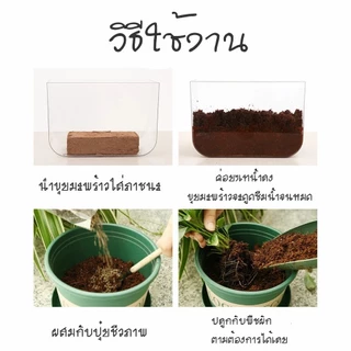 ขุยมะพร้าวอัดก้อน 450g / 550g ก้อน เทนนินต่ำ สำหรับปลูกต้นไม้ ขนาด ก้อน ฟูกว่าเดิม 4 เท่าเมื่อโดนCOD