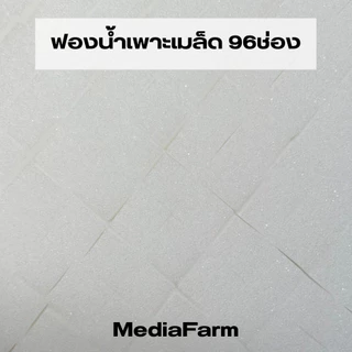 ฟองน้ำเพาะเมล็ดแบบยกห่อ100แผ่น