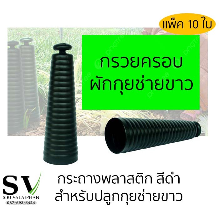 กรวยครอบผักกุยช่าย แพ็ค 10 กรวย กระถางครอบผักกุยช่ายขาว กระถางพลาสติก สำหรับปลูกกุยช่ายขาว