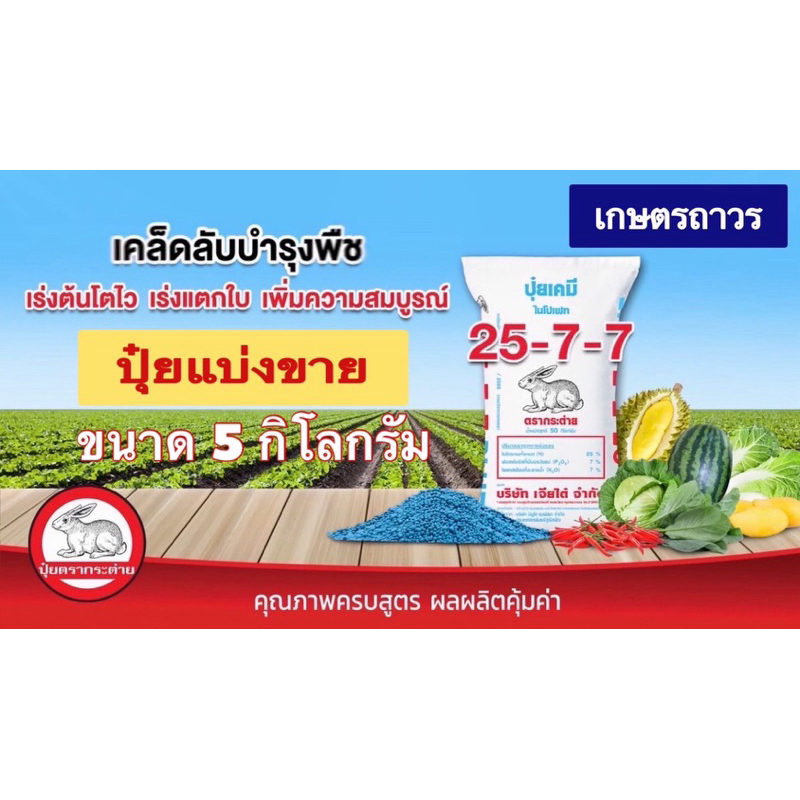 ปุ๋ยตรากระต่าย สูตร 25-7-7 เม็ดสีฟ้า แบ่งขาย 5 กิโลกรัม  เร่งให้โตไว ใบงาม รากแข็งแรง
