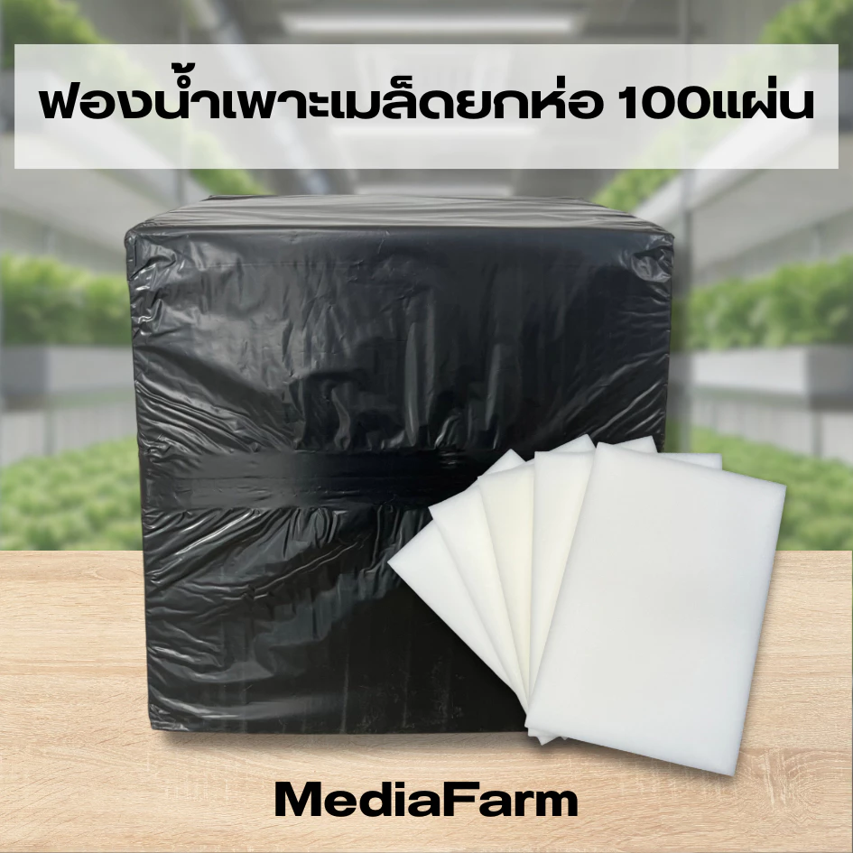 ฟองน้ำเพาะเมล็ดแบบยกห่อ100แผ่น
