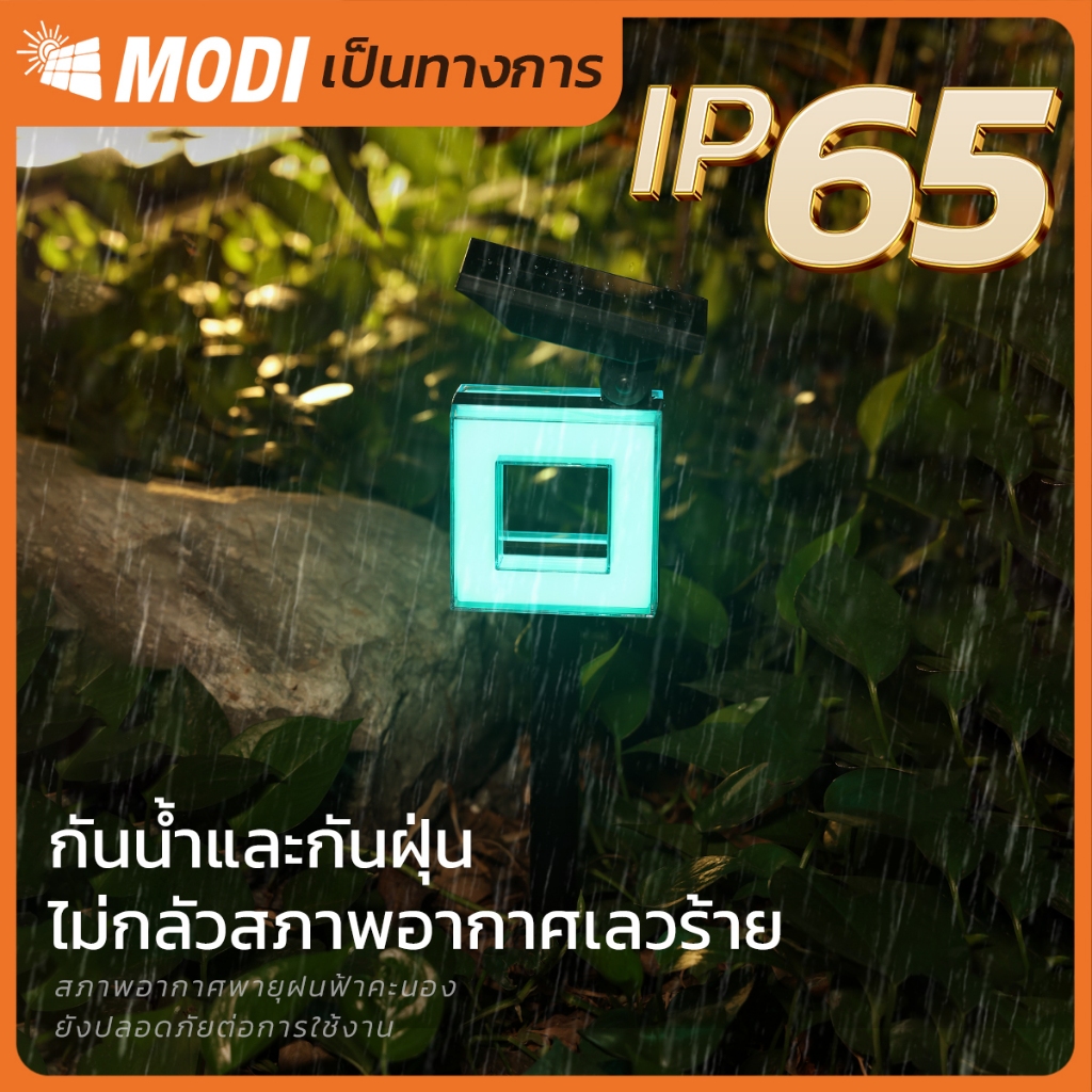 Thumbnail 7