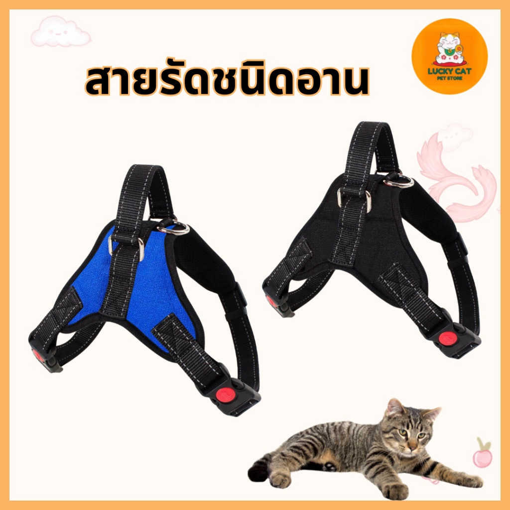 สายจูงสุนัขและแมว สายรัดหน้าอกแบบปรับได้สำหรับสุนัขและแมว สายจูงสุนัขป้องกันการจลาจลขนาดใหญ่สำหรับสุนัขขนาดใหญ่