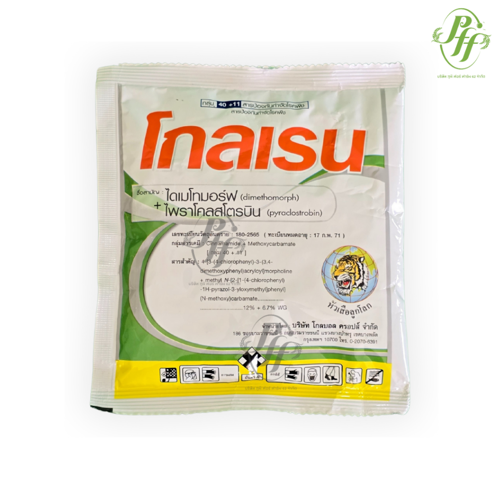 โกลเรน 100 กรัม ไดเมโทมอร์ฟ + ไพราโคลสโตรบิน สองพลังบวก ป้องกันเชื้อรา รากเน่า โคนเน่า ใบจุด ราแป้ง ช่อดำ - รูปที่ 3