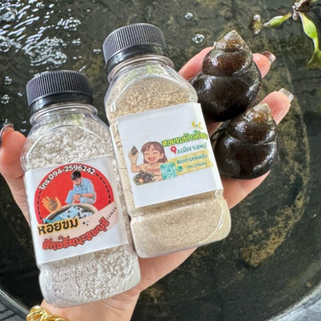 รูปภาพ 2