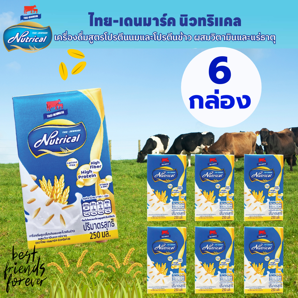 นม NutriCal  นิวทริแคล เครื่องดื่มสูตรโปรตีนนมและโปรตีนข้าว ผสมวิตามินและแร่ธาตุ (ตราไทย-เดนมาร์ค ) แพ็ค  6 กล่