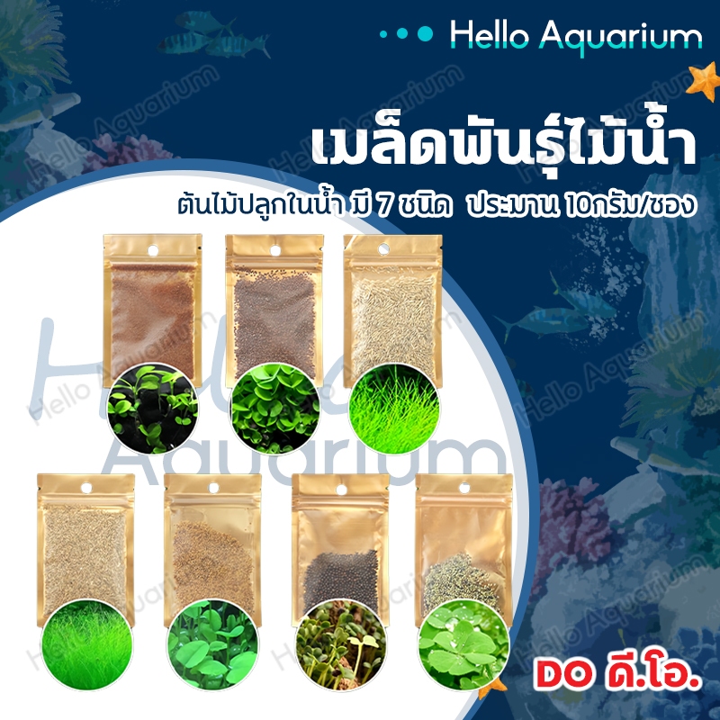 ดี.โอ. เมล็ดพันธ์ุไม้น้ำ เมล็ด​ไม้น้ำ ต้นไม้ปลูกในน้ำ 10กรัม/ซอง อ่างปลา บ่อปลา อ่างบัว มี 7 ชนิด