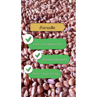 โปรคู่500กรัม(ถั่วลายเสือ500g.+ถั่วเสื้อลาย500g.)
