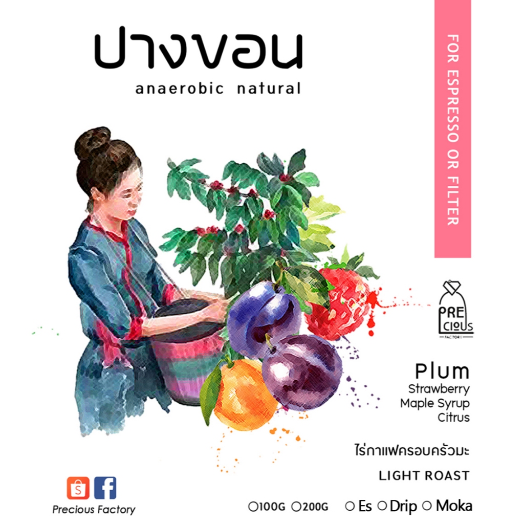 เมล็ดกาแฟคั่วอ่อนปางขอน Anaerobic Natural (ไร่ครอบครัวมะ) 100g/200g