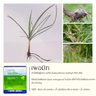 เพอมิท 40กรัม (ฮาโลซัลฟูรอน-เมทิล) ใช้หลังวัชพืชงอกในอ้อย เพื่อกำจัดวัชพืชประเภทกก เช่น แห้วหมู