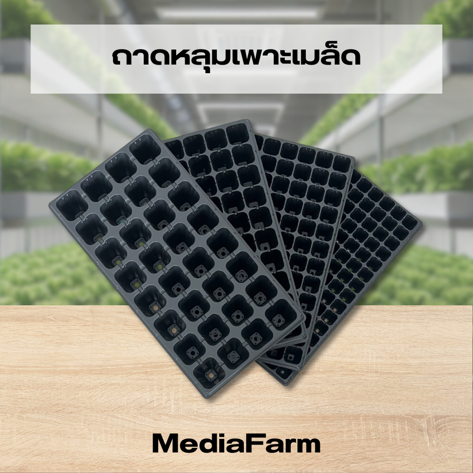 ถาดหลุมเพาะเมล็ด ถาดเพาะเมล็ด