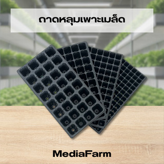 ถาดหลุมเพาะเมล็ด ถาดเพาะเมล็ด
