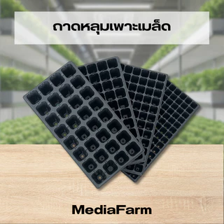 ถาดหลุมเพาะเมล็ด ถาดเพาะเมล็ด