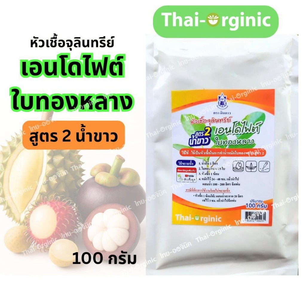 หัวเชื้อจุลินทรีย์เอนโดไฟต์ ใบทองหลาง สูตรน้ำขาว (B16เดิม) ตราดินดาวปฐมอโศก สูตร อจ.วิโรจน์ 100 กรัม