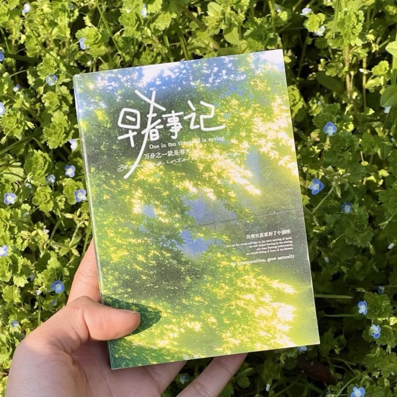 🌿🍂พร้อมส่ง!(มีแบบเล่ม)สติ๊กเกอร์สำหรับตกแต่ง แพค4ชิ้น คละลาย ลายธรรมชาติ โทนสีเขียว สวยมาก