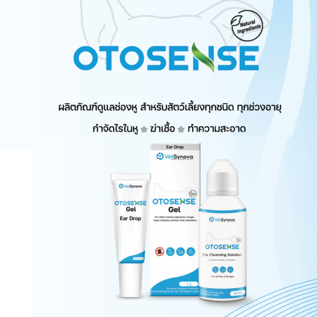 Otosense น้ำยาทำความสะอาดหู ฆ่าเชื้อ กำจัดไรหู สารสกัดจากธรรมชาติ ขนาด 50 ml.