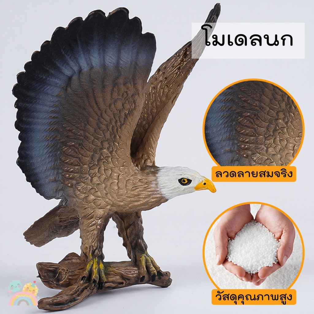 [COD] โมเดลนก ของเล่นเสริมพัฒนาการ มีหลายแบบ ได้แก่ นกอินทรีย์ นกฮูก นกแห้ว พร้อมส่งจากไทย