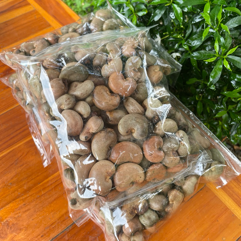 เมล็ดพันธุ์มะม่วงหิมพานต์ศรีสะเกษ60-1,60-2 (แพค 1 กิโล) จำนวน150-180 เมล็ด - รูปที่ 7