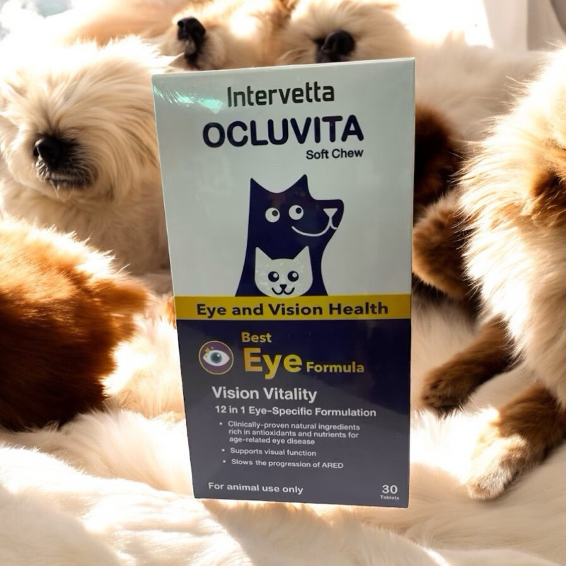 (( soft Chew)) Intervetta Ocluvita  1 กล่อง 30 เม็ด Exp.20/6/2026 อาหารเสริมเพื่อบำรุงสายตาและดวงตา 