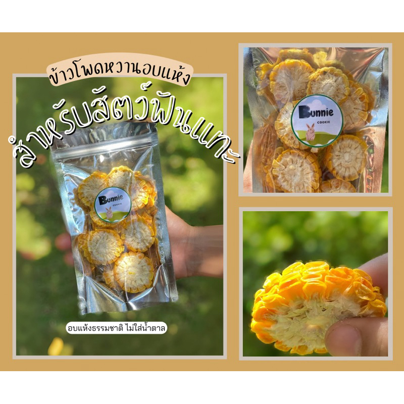 🌽✨ ข้าวโพดหวานอบแห้งสำหรับสัตว์ฟันแทะ ✨🌽 ข้าวโพดอบแห้ง ข้าวโพดหนูแฮมสเตอร์ ข้าวโพดสำหรับกระต่าย