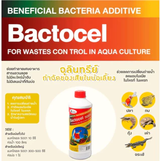 (ของแท้ 100%) Bactocel 5001 300cc จุลินทรีย์น้ำใส บ่อปลา ตู้ปลา แบลโตเซล ปรับสภาพน้ำใส บ่อขนาดใหญ่