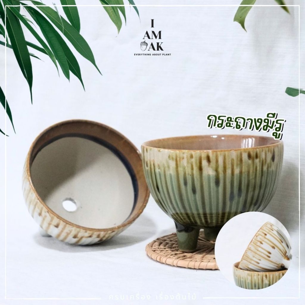 มุมมอง 2