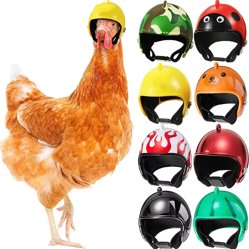 หมวกกันน็อคจิ๋ว สำหรับ นกแก้ว ไก่ ชูก้า หนู สัตว์เลี้ยงขนาดเล็ก พร้อมส่งจากไทย เก็บเงินปลายทางได้