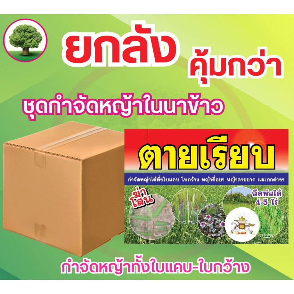 ชุดกำจัดวัชพืชในนาข้าว  ตายเรียบ (ยกลัง) มี 24 ชุด  กำจัดหญ้าทั้งใบแคบและใบกว้าง 1กล่องฉีดได้4-5ไร่