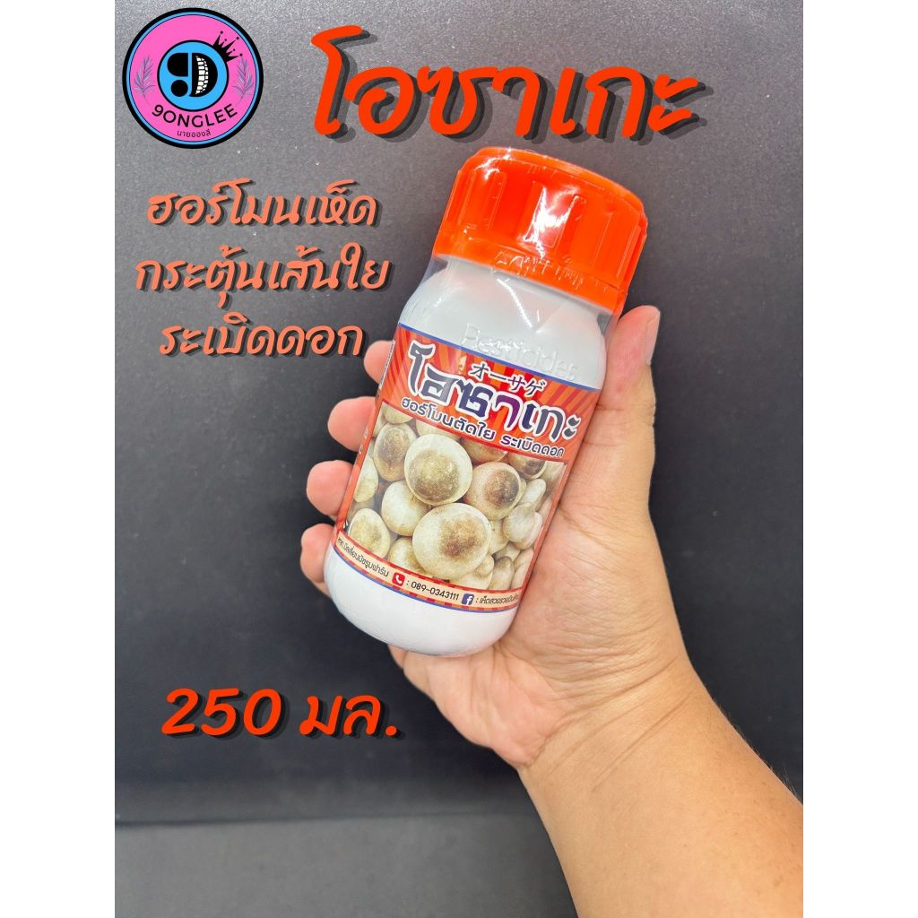 โอซาเกะ (250 มล.) ฮอร์โมนตัดใย ฮอร์โมนเห็ด กระตุ้นเส้นใยเห็ด เร่งดอก