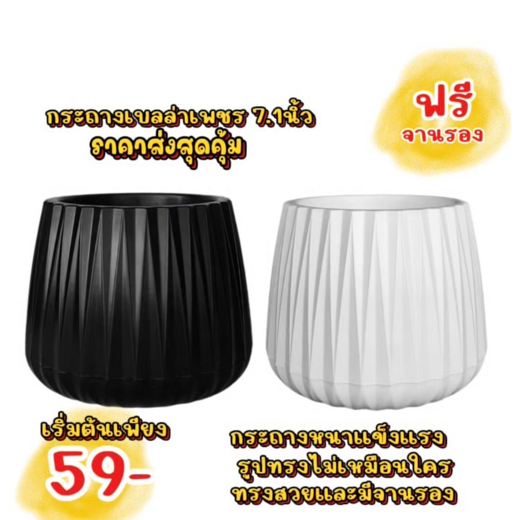 กระถางต้นไม้เบลล่าเพชร ขนาด7.1นิ้ว ทรงมินิมอลพร้อมส่ง