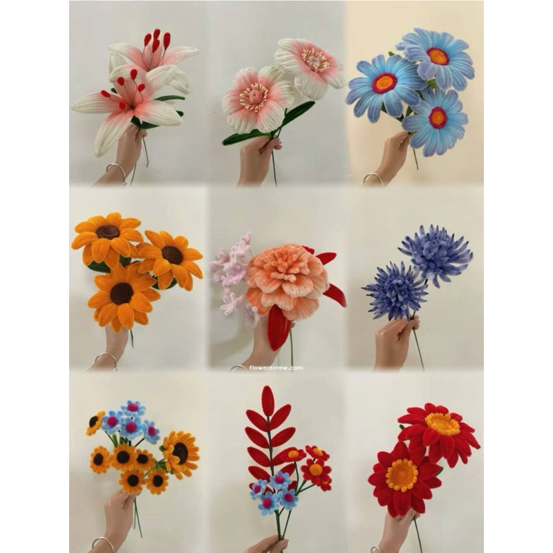 รูปภาพ 7