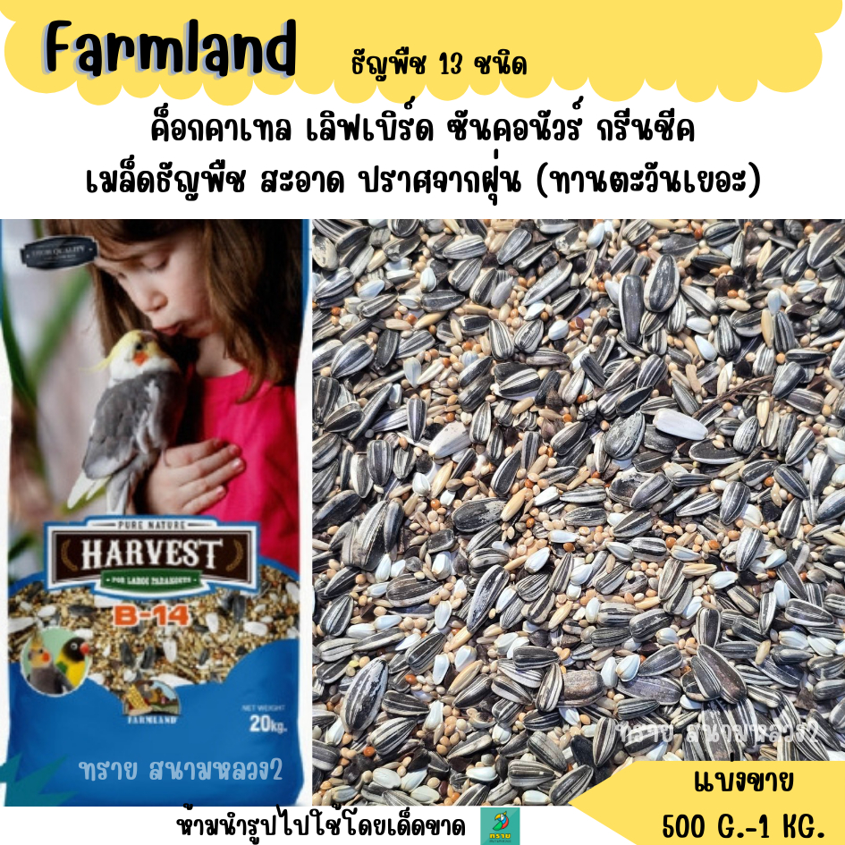 B14 .Farmland ธัญพืช 13 ชนิด (แบ่งขาย 500G.-1 KG.) อาหารนกแก้วขนาดเล็ก-กลาง