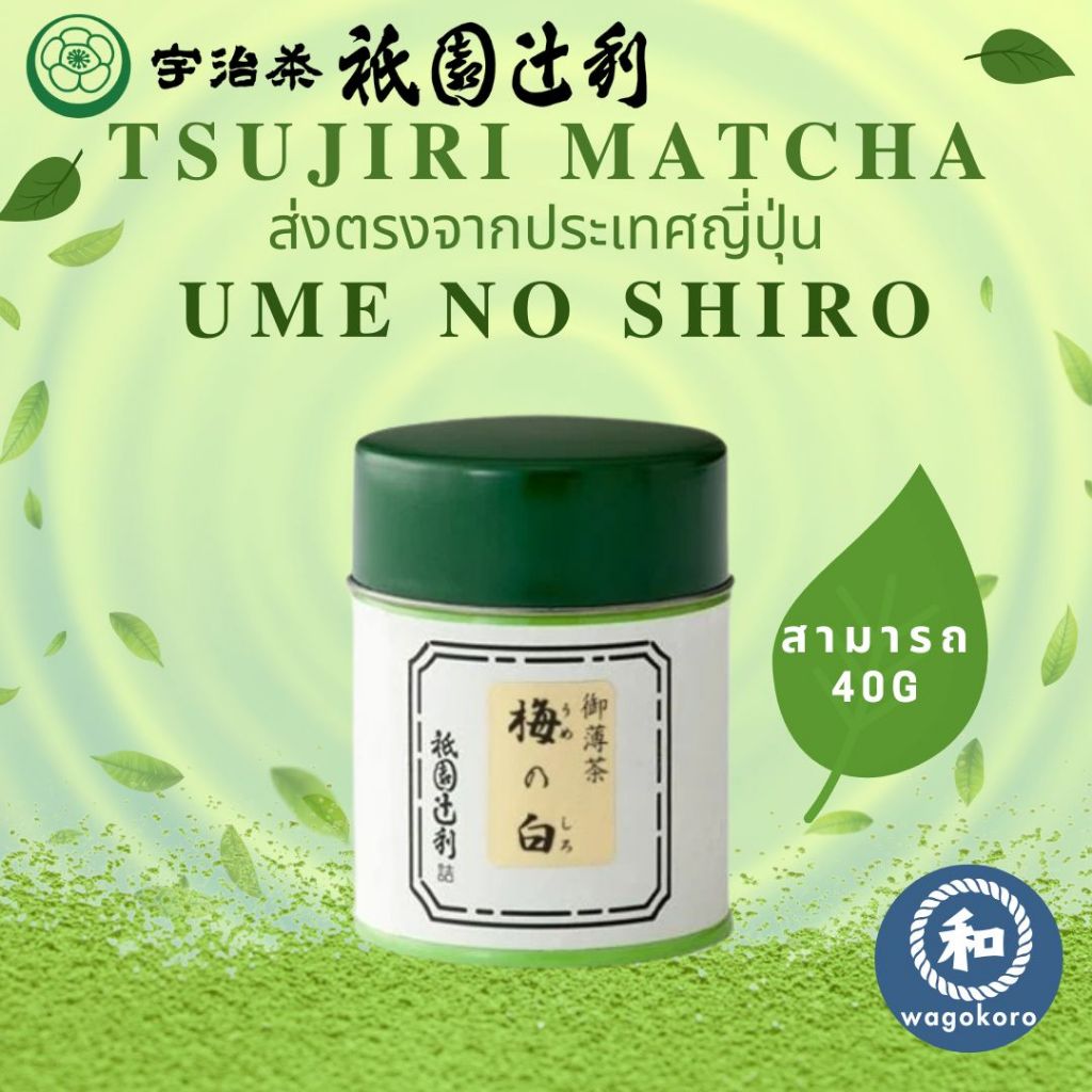 มัทฉะ Tsujiri Ume no Shiro 40g/สามารถ Uji Matcha Gion Kyoto Matcha Powder มัทฉะ ceremonial
