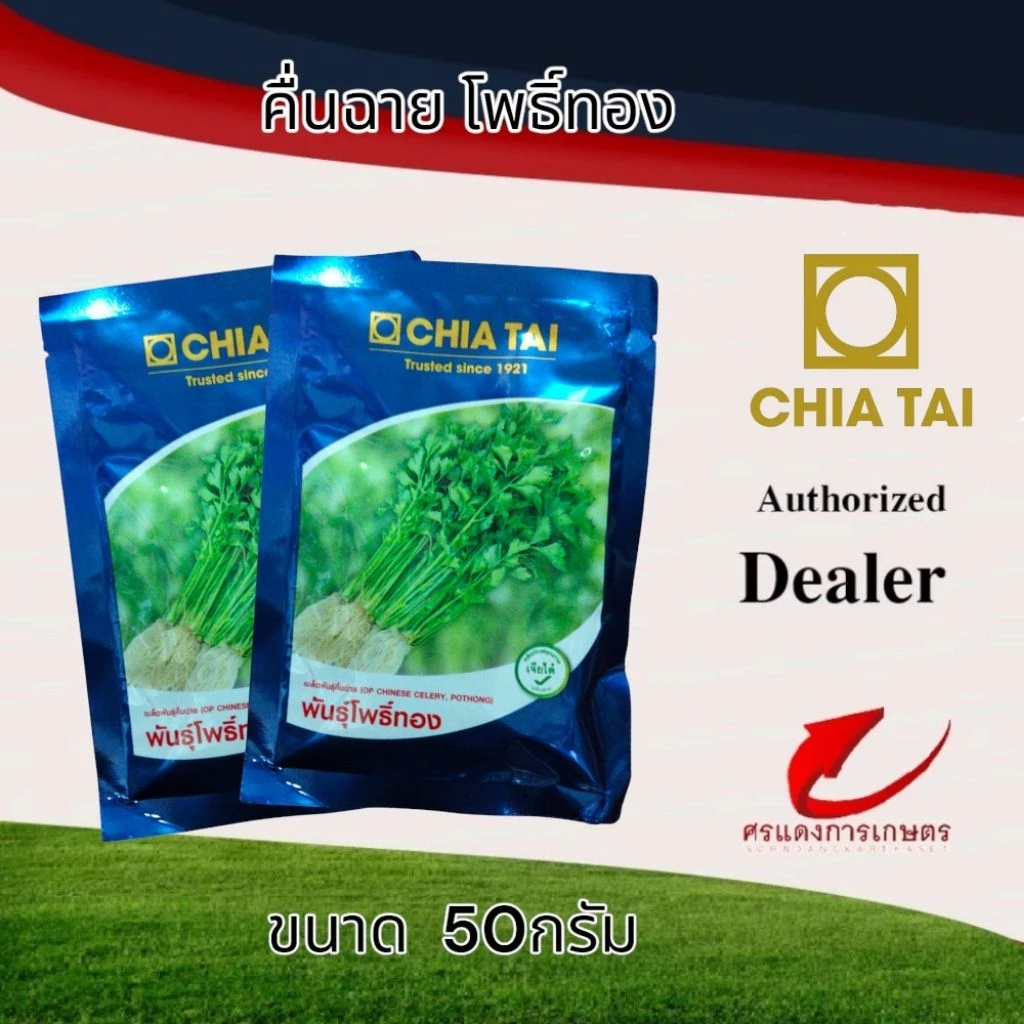เมล็ดพันธุ์ คื่นฉ่ายโพธิ์ทอง 50g