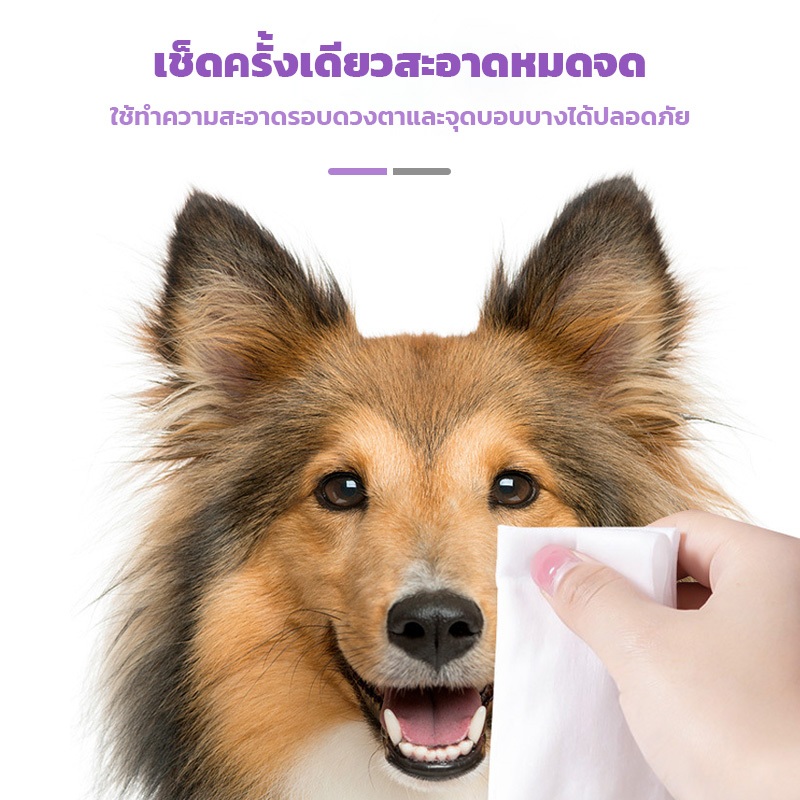 ผ้าเช็ดทำความสะอาดสัตว์เลี้ยง Pet Wipes ผ้าเปียกหมา นุ่มและอ่อนโยน ไม่มีแอลกอฮอล์ สำหรับเช็ดขนสัตว์เลี้ยง【80 แผ่น】 - รูปที่ 4