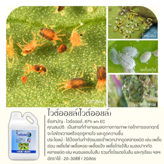 ไวต์ออยล์ 5ลิตร (ไวต์ออยล์) ป้องกันเพลี้ยหอย เพลี้ยไฟ เพลี้ยแป้ง เพลี้ยไก่แจ้ส้ม ไรแดง แมลงหวี่ขาว