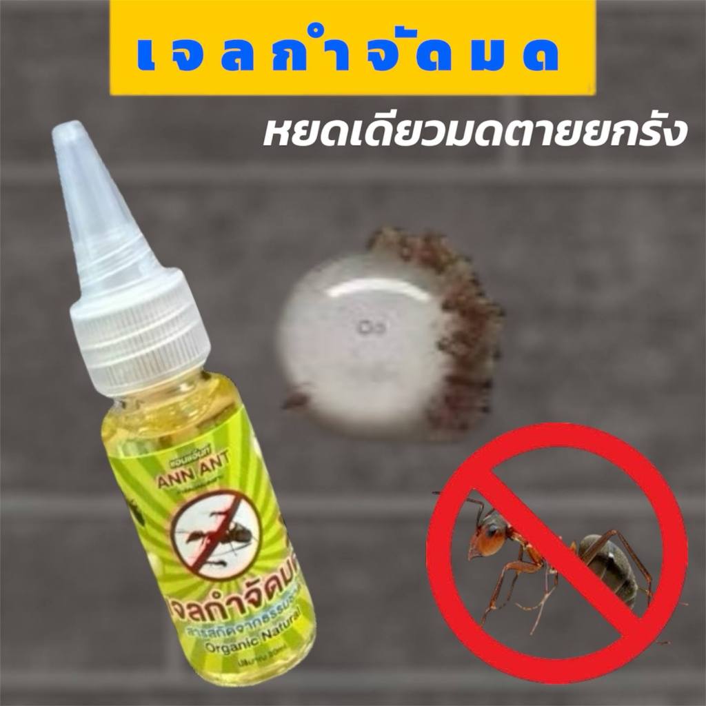 แอนแอ๊นท์ AnnAnt Bait เจลกำจัดมด แมลงสาบ Ann Ant ปริมาณ20ml. กำจัดมดในรถ ในห้องนอน