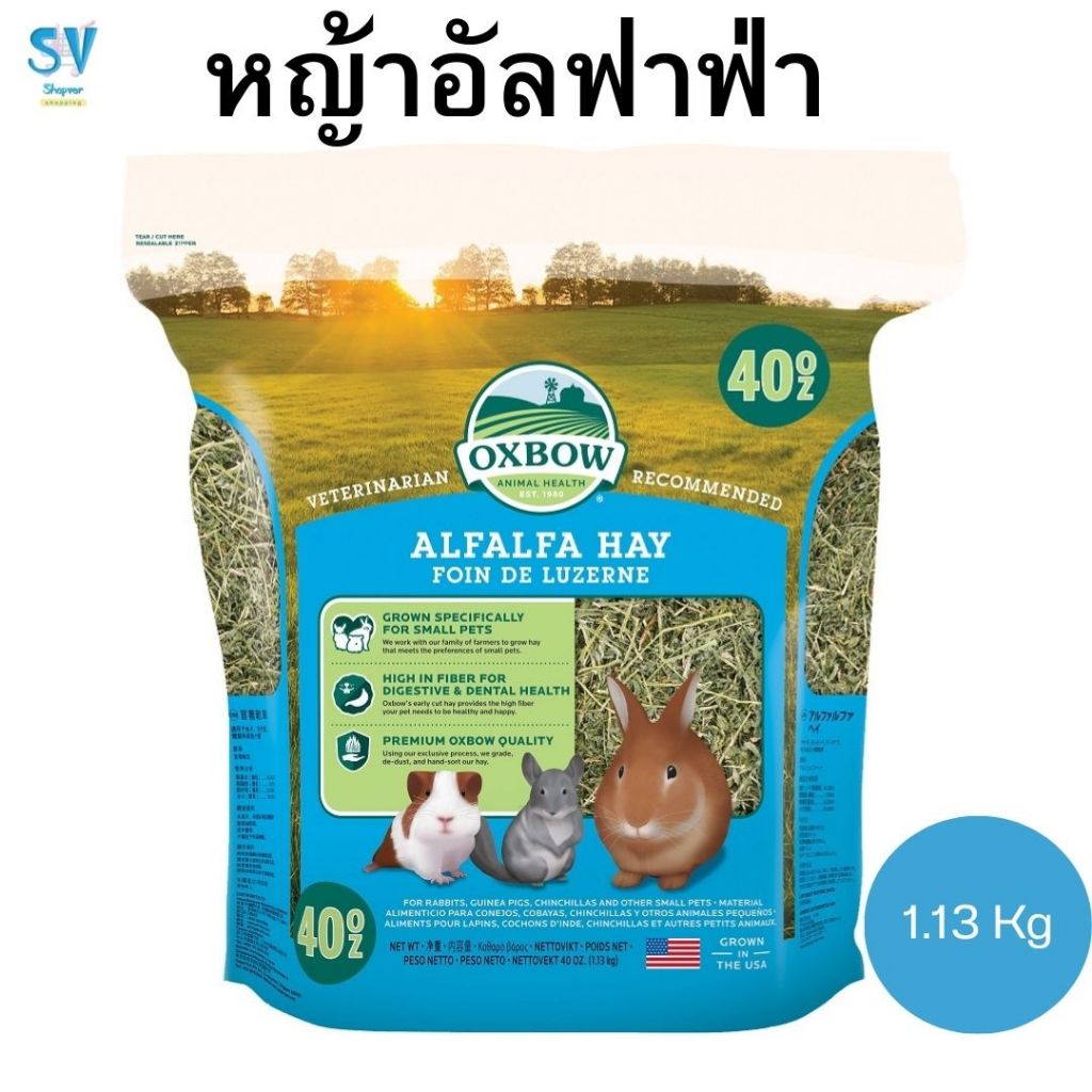 OXBOW ALFALFA HAY หญ้าอัลฟาฟ่า 40 oz. 1.13 กก.หญ้าสำหรับสัตว์ฟันแทะ