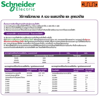 ตู้ 3เฟส [Main Breaker] Schneider, เฟรม 100A 12-42 ช่อง 240/415V,QO3-100EZ (ตู้เปล่า)