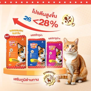 Bingo Star Adult Cat Food อาหารแมวโต บิงโกสตาร์ ชนิดเม็ด 1kg เสริมภูมิต้านทาน โปรตีนสูง สำหรับแมว 1 ปีขึ้นไปทุกสายพันธุ์